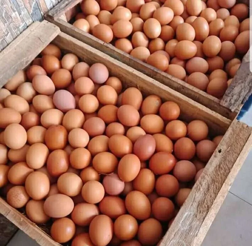 Telur 1 kg